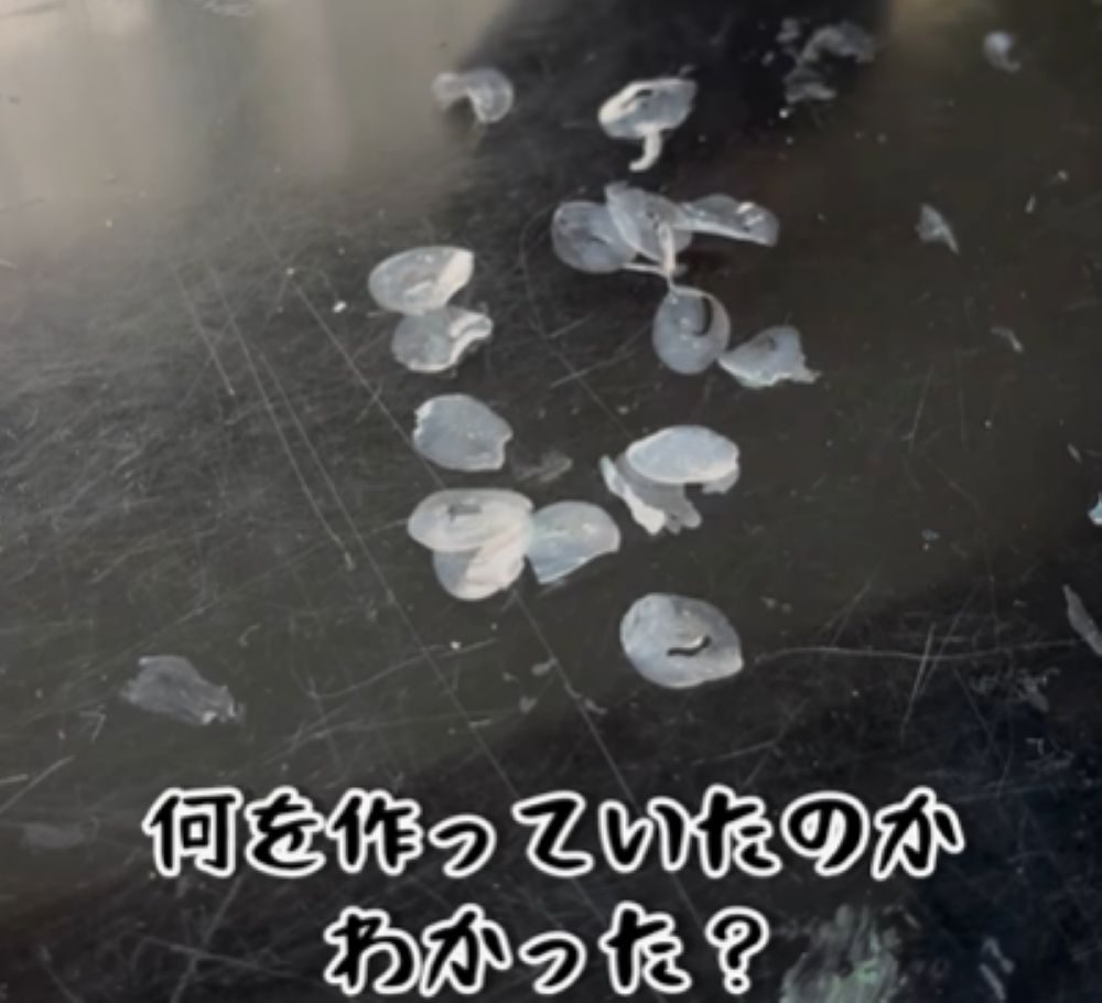 作っていたものは…（＠yukaaa.o31さんより提供）