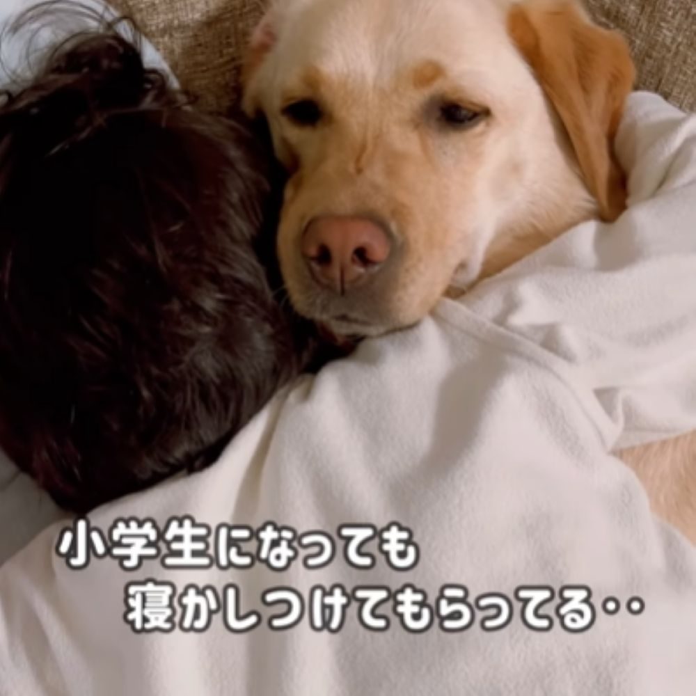 ぎゅっと抱きしめる息子さん（＠duffy_tommy1227さんより提供）