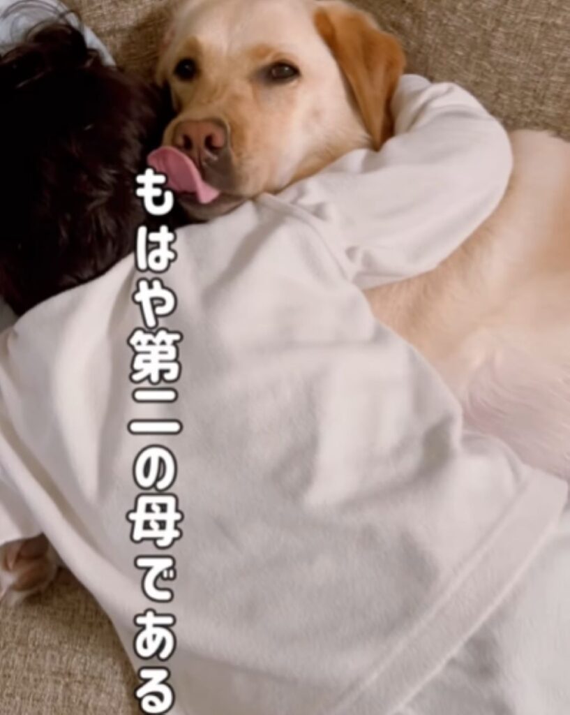 もはや母のよう（＠duffy_tommy1227さんより提供）