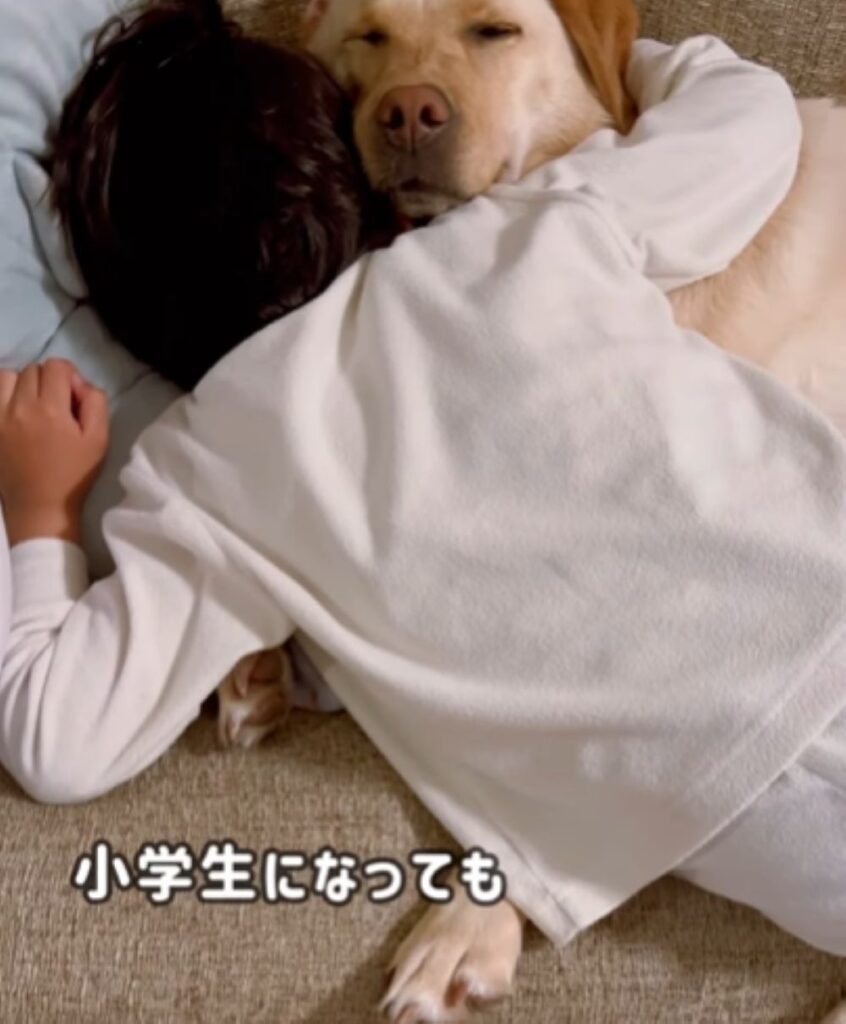 【実際の写真5枚】　ママが見た光景