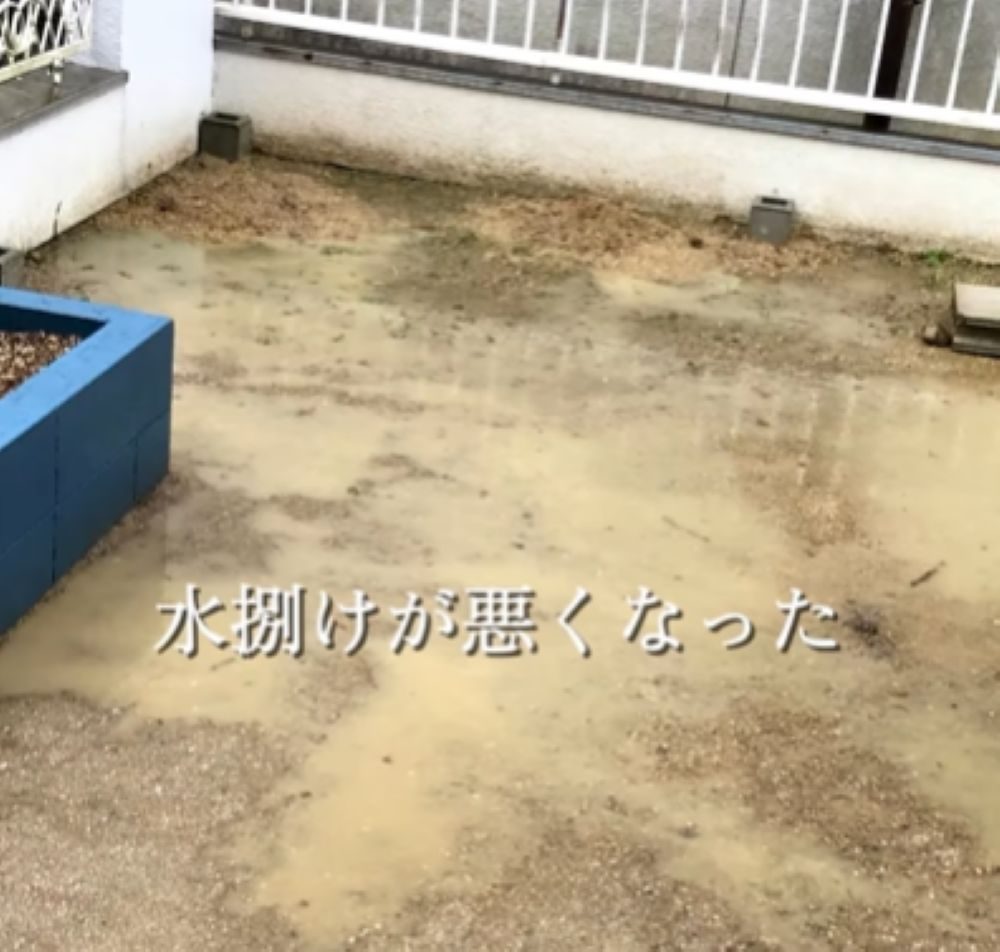 【実際の写真6枚】　7年後の様子