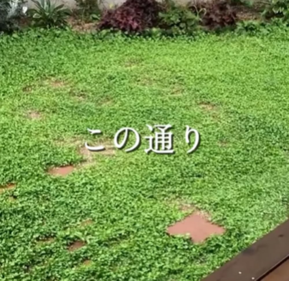 水はけも改善（＠chiyo_mama_diyさんより提供）