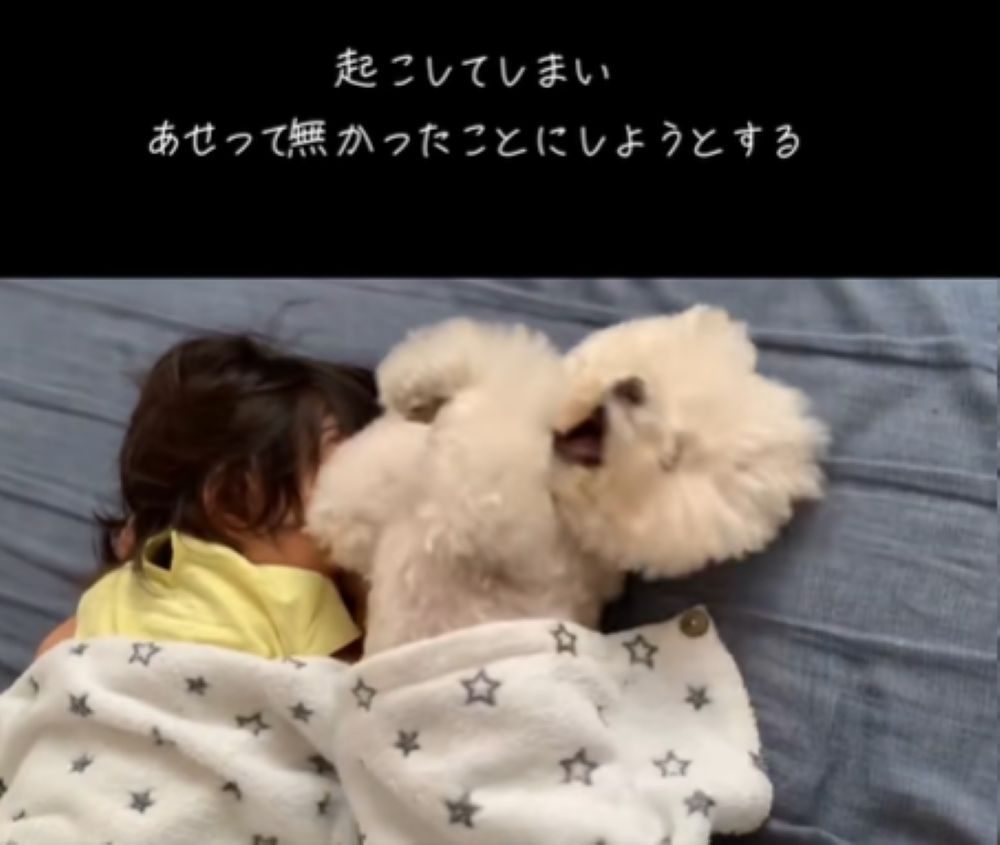 焦るぷぷくん（＠pupuch0114さんより提供）