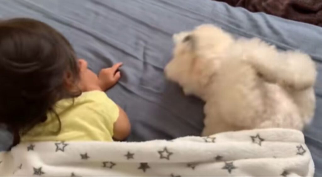 【実際の写真5枚】　ママが見た光景