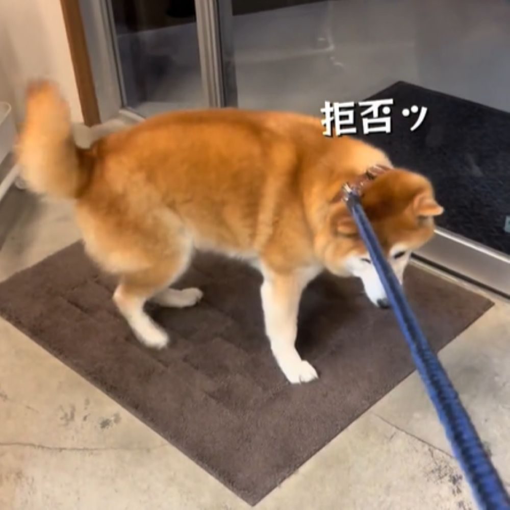 引っ張っても動きません（＠happinessboy0104さんより提供）