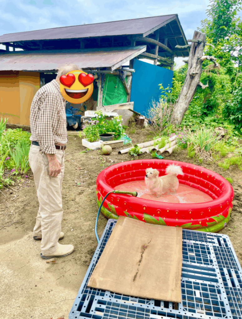 待ちきれず、プールに入ったとろろくん（@monaka_0507さんより提供）