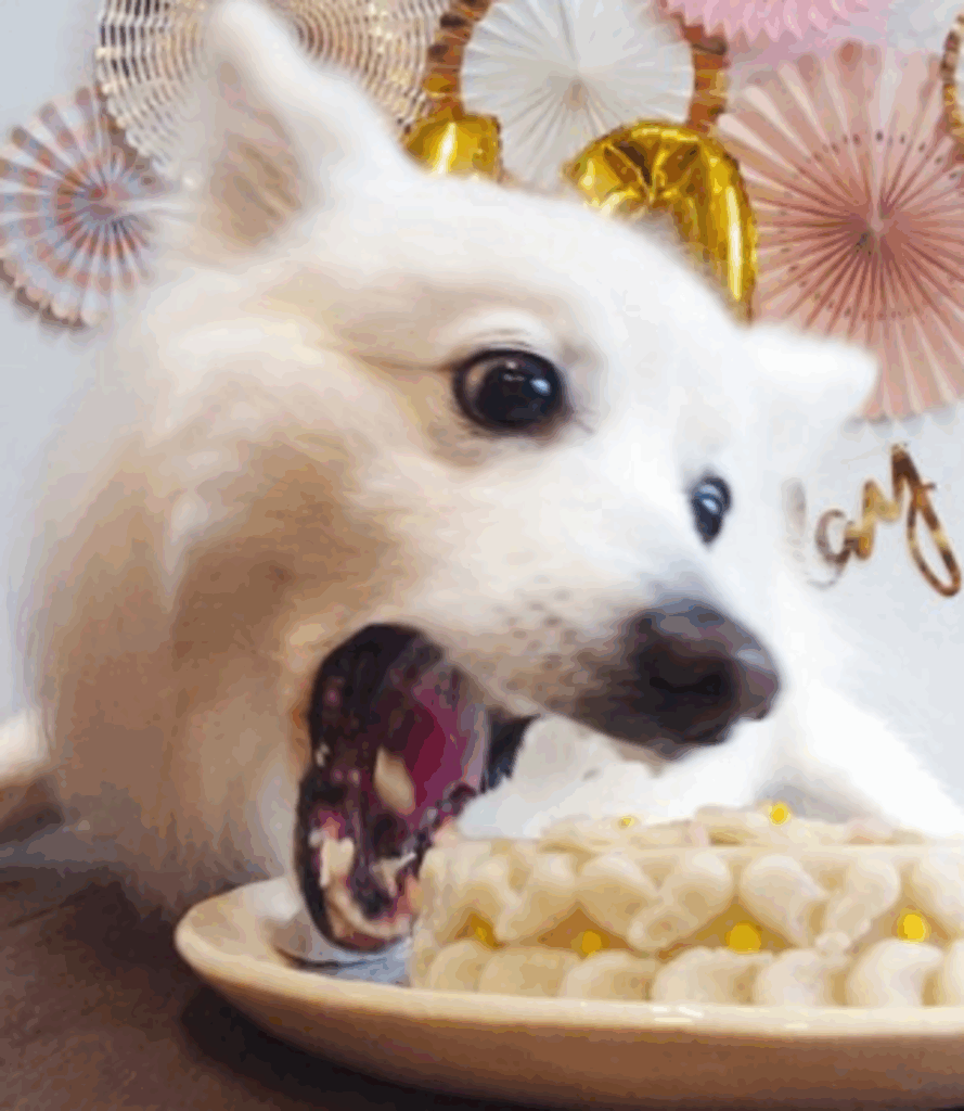 大きな口で…（@kukuri_shibainuさんより提供）