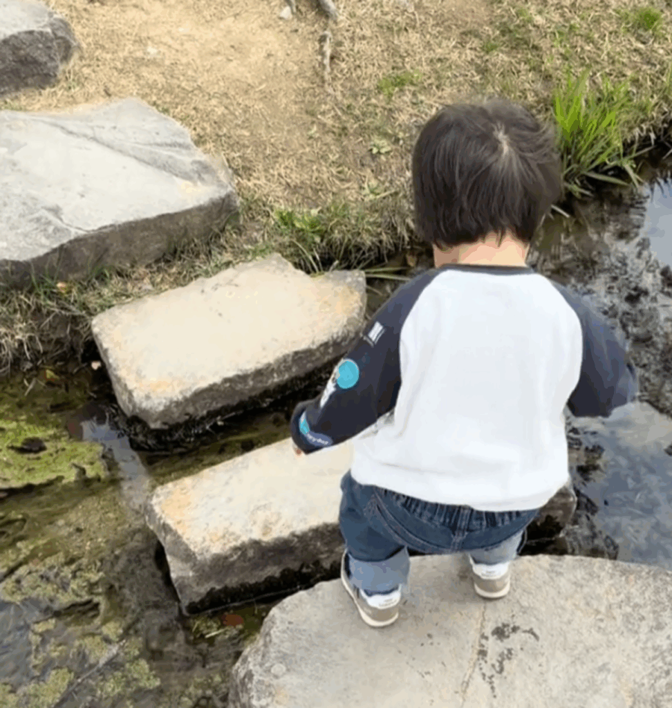 【実際の写真8枚】　ママが見た光景