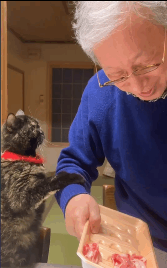 「困ったな～」と言いながらどこかうれしそうなお父さん（@f.chii08さんより提供）