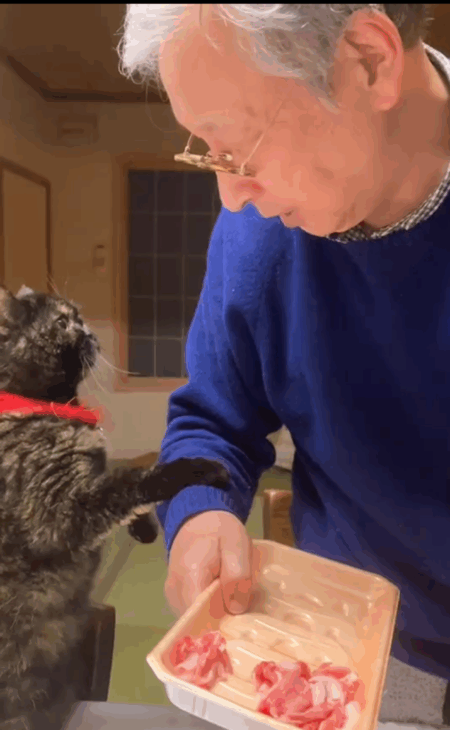 ご飯の支度を阻むものとは…？（@f.chii08さんより提供）