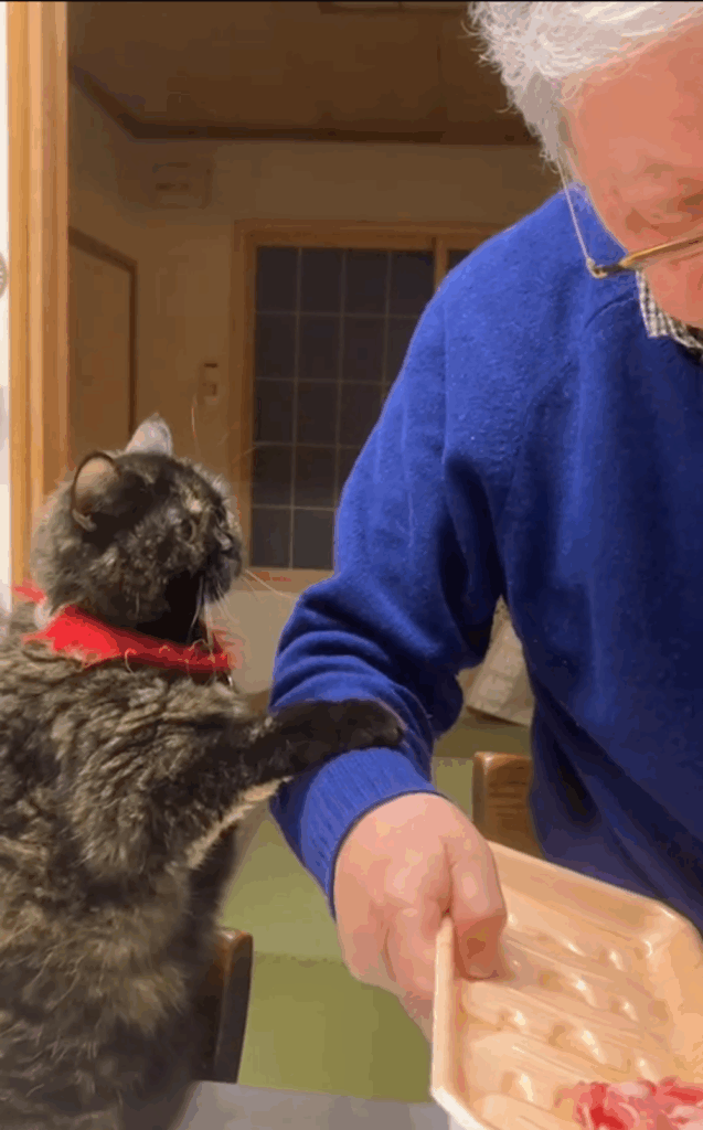 そのまま作業するお父さん（@f.chii08さんより提供）