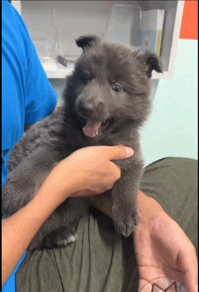 【実際の写真5枚】　2年後の様子