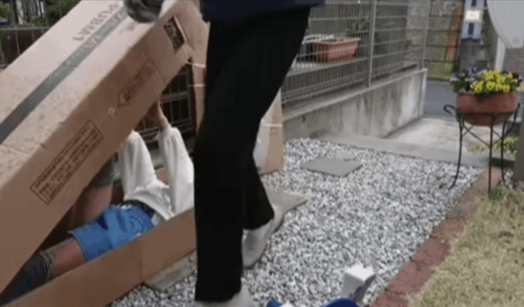 そばを通った瞬間に…！（@piromi918さんより提供）