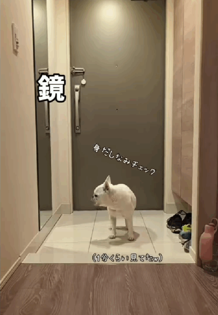鏡をチェック（@yamawaki.lifeさんより提供）