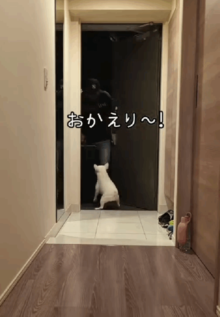 おかえり～！（@yamawaki.lifeさんより提供）