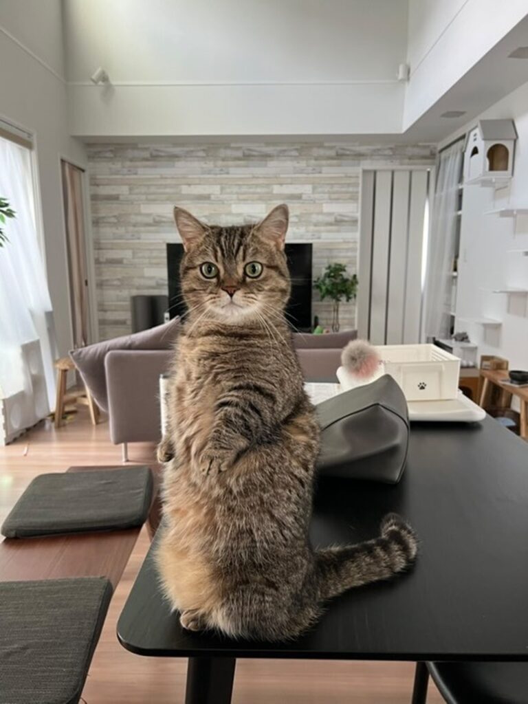 6歳を迎えるまるくん（＠marumaru06260908さんより提供）