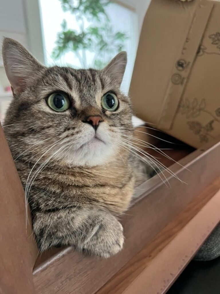 まん丸な目は相変わらず（＠marumaru06260908さんより提供）