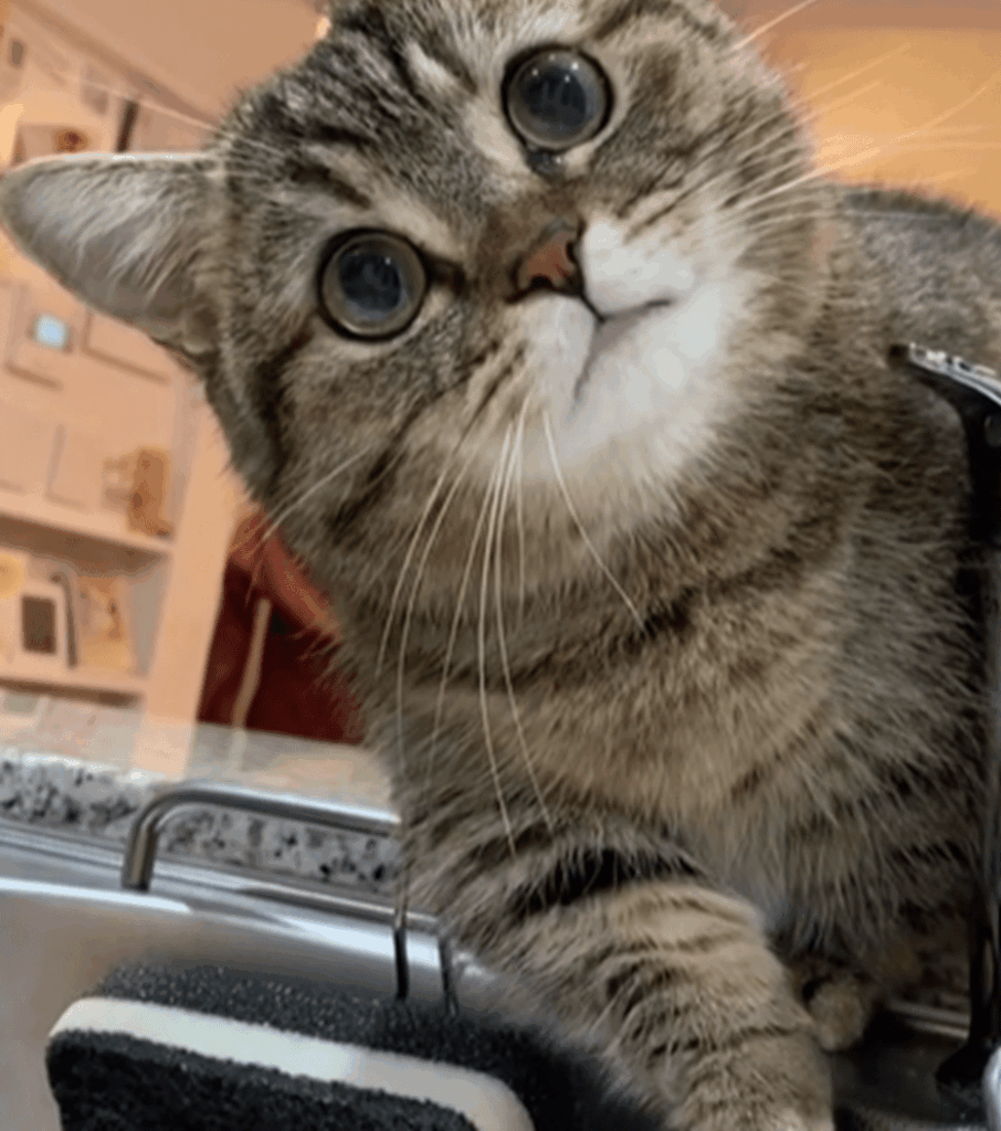 水滴の行方が気になりすぎて…（＠marumaru06260908さんより提供）