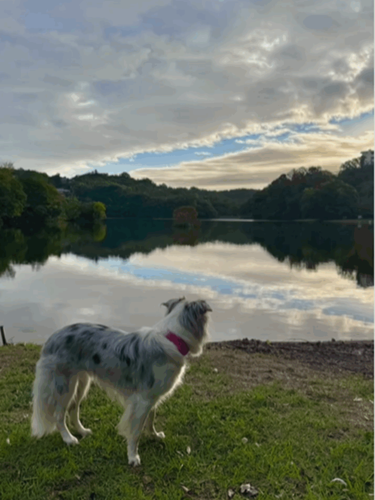 大自然の中で（＠luke_smbcさんより提供）