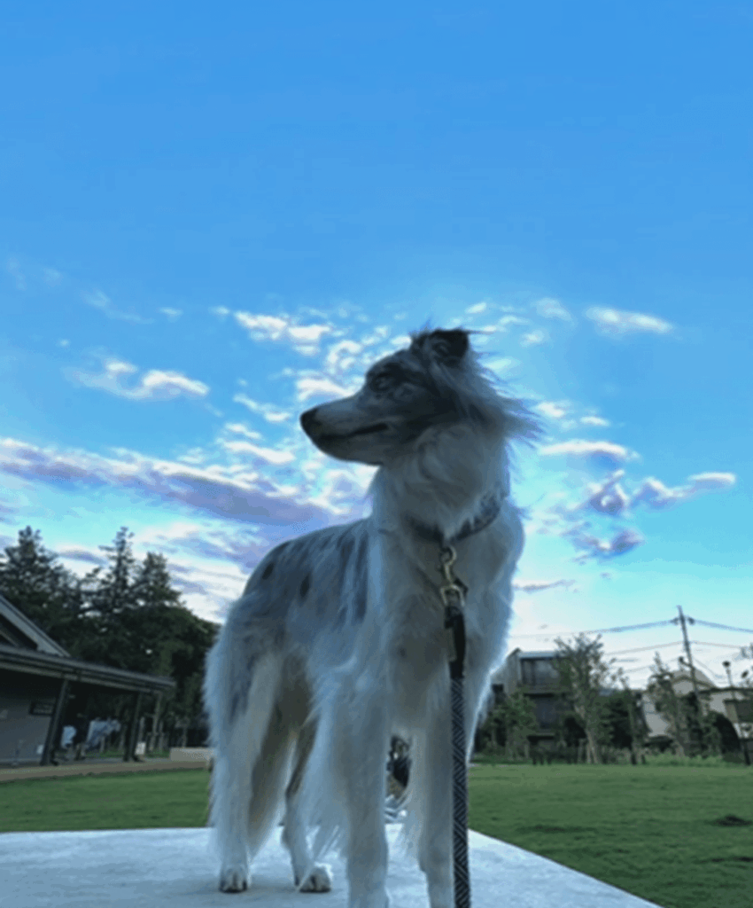 3歳の誕生日、おめでとう！（＠luke_smbcさんより提供）