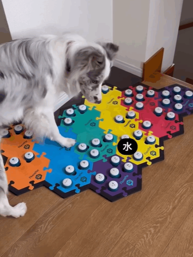 ボタンを押して「お水ちょうだい」と催促（＠luke_smbcさんより提供）