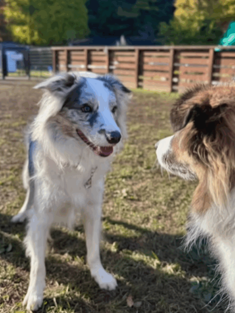 お友達もできたよ（＠luke_smbcさんより提供）