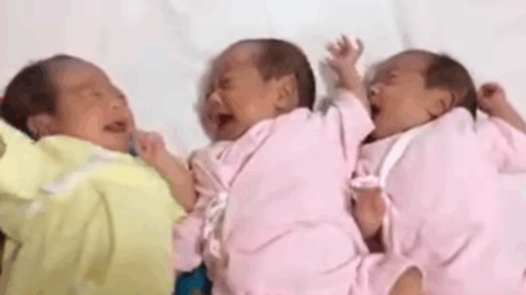 泣き声も三重奏だった生後2ヶ月の頃（＠k.s.n.basketballさんより提供）