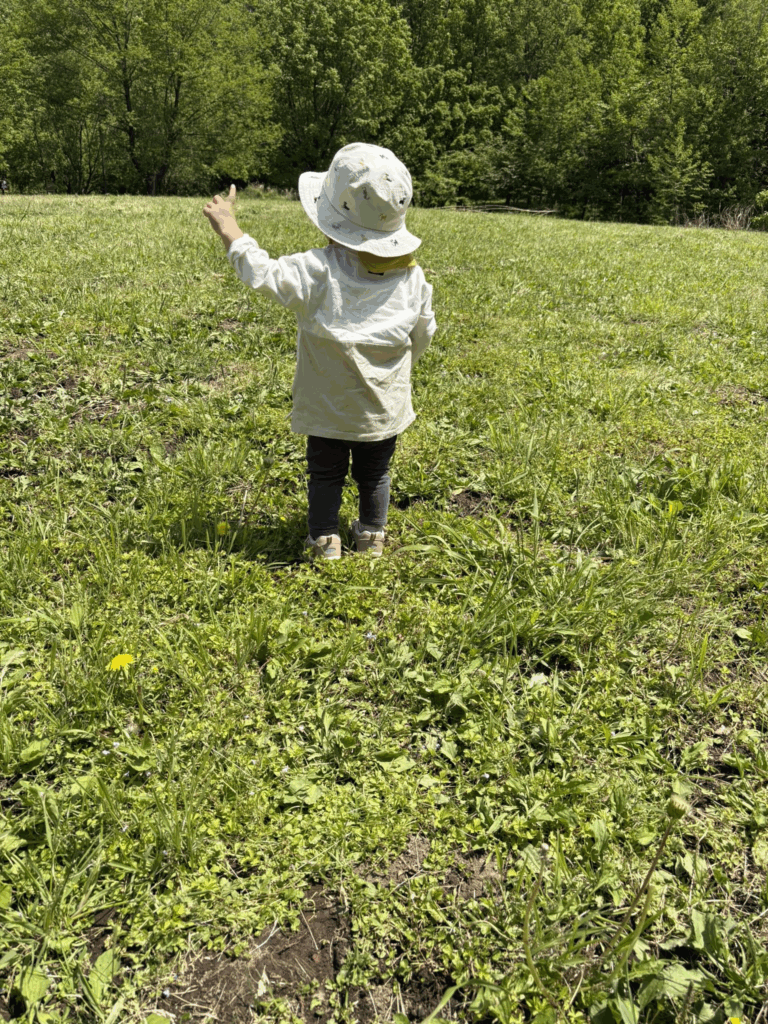 【実際の写真3枚】　ママが見た光景