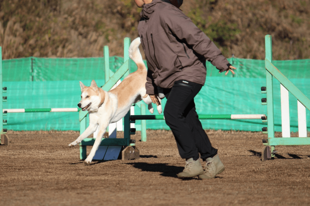 現在の写真②（@kaaaiii1020さんより提供）