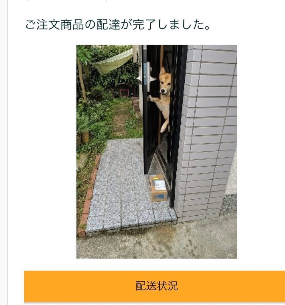 置き配の完了メール（＠yoshino__017さんより提供）