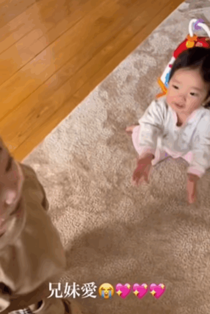 手を差し出しています（@shoma_3113さんより提供）