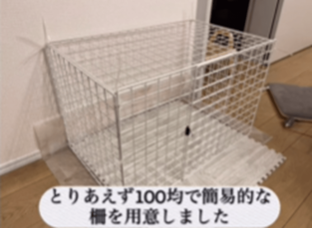 【実際の写真8枚】　現在の様子