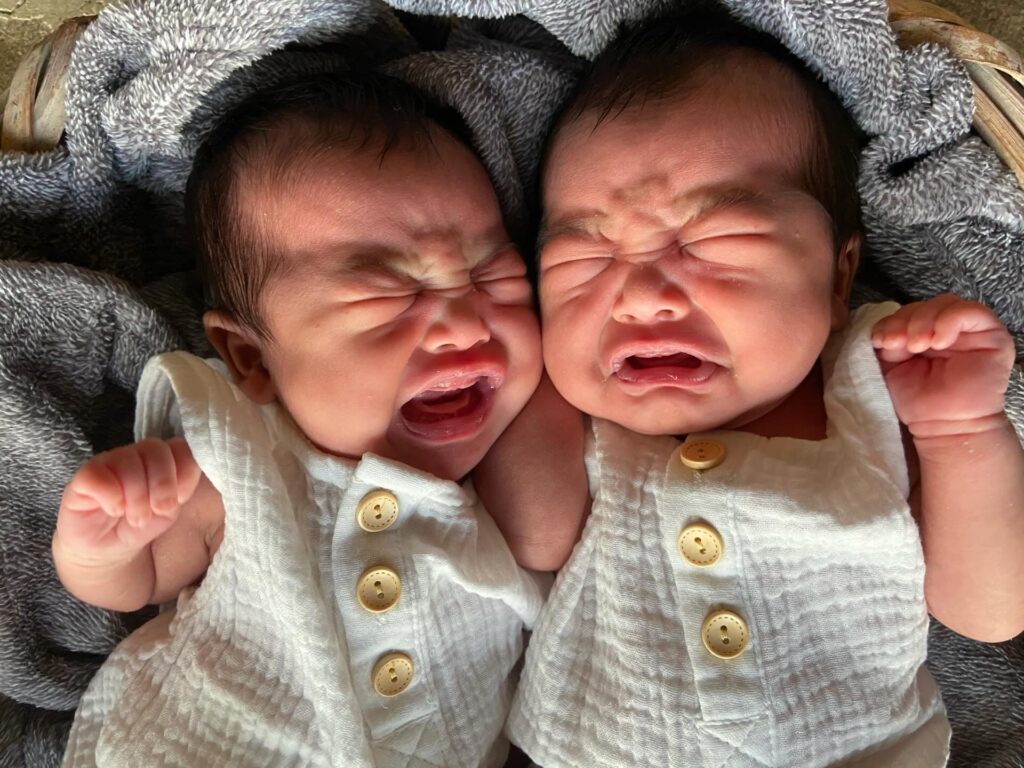 【実際の写真5枚】　4年後の様子