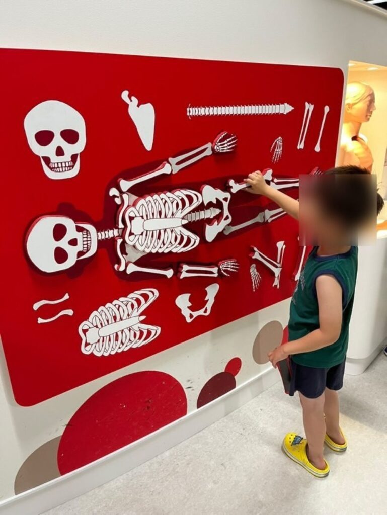 普段の息子さん①（＠coro0330さんより提供）