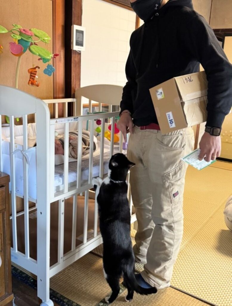 【実際の写真6枚】　ママが見た光景