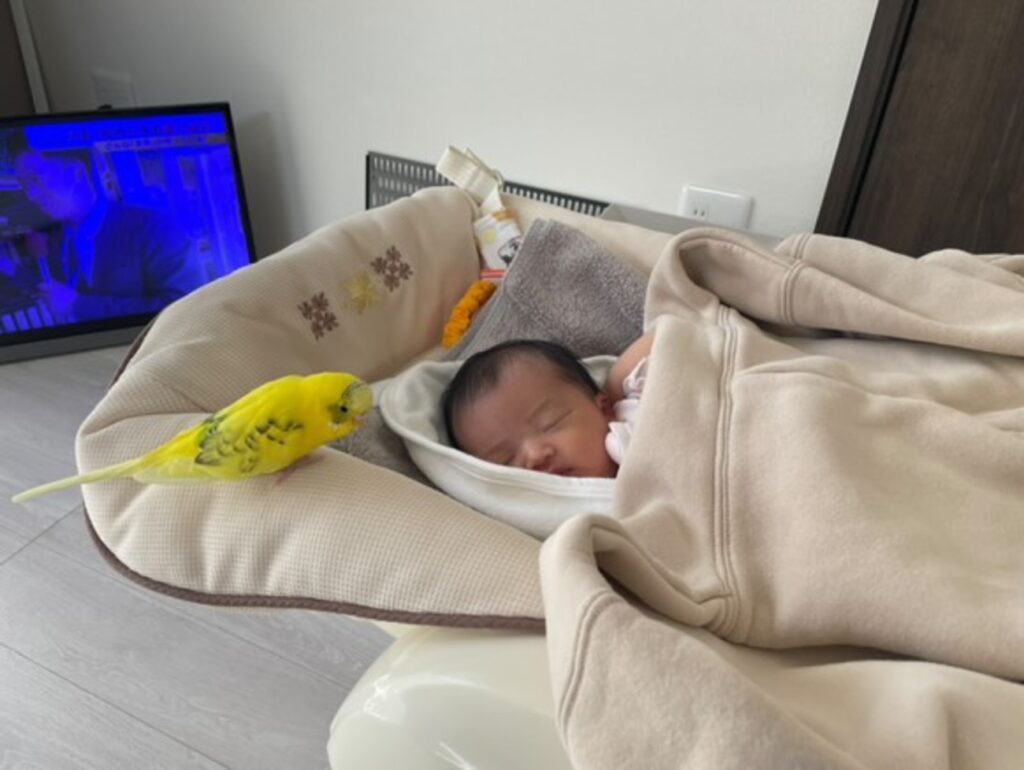 鳥たちに見守られて（@koooooo.chanさんより提供）