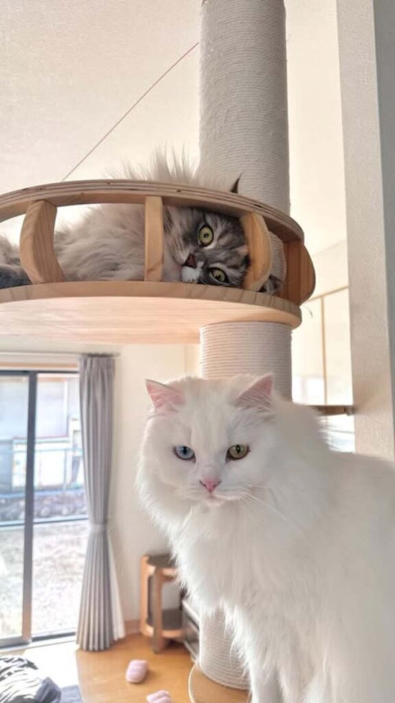 やんちゃな一面も（@jim_zaki22さんより提供）