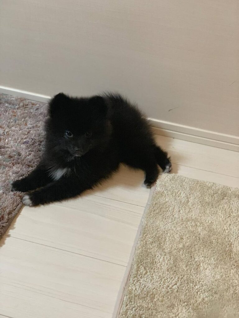 【実際の写真6枚】　成長後の様子