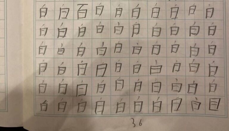 【実際の写真】　母が見た光景