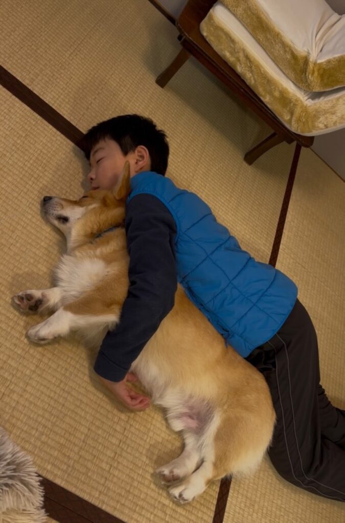 普段の２人はとても仲よし（@jino_corgiさんより提供）