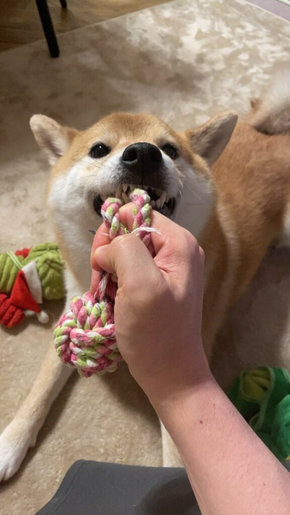 すべて表情に出る（@takahirosatohhさんより提供）