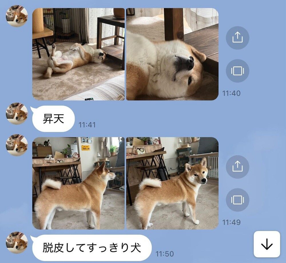 奥さまとのやり取り（@takahirosatohhさんより提供）