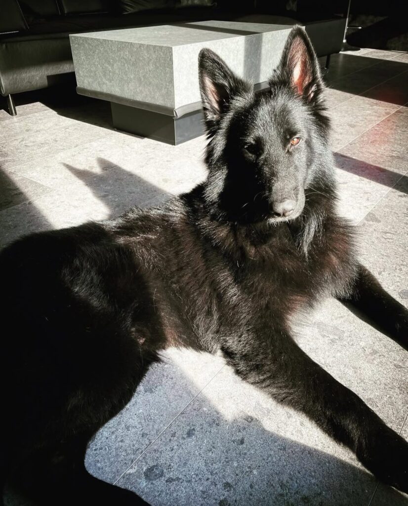 普段のエクくん（＠s002995さんより提供）