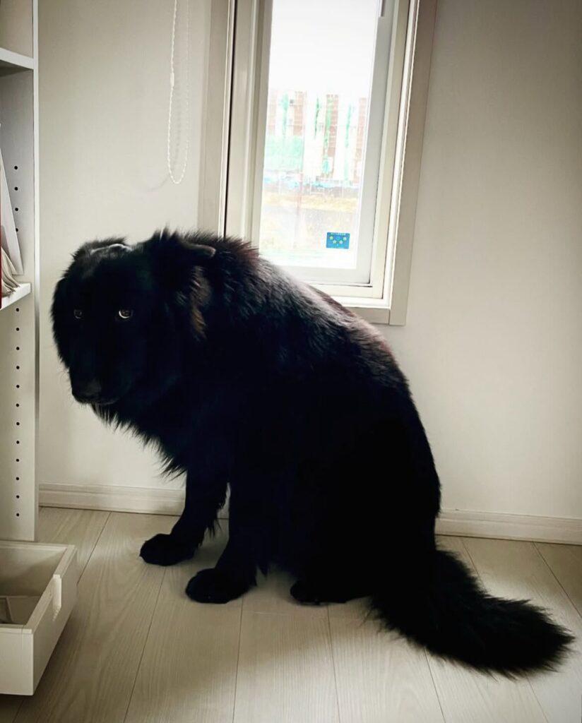 叱られたとき（＠s002995さんより提供）