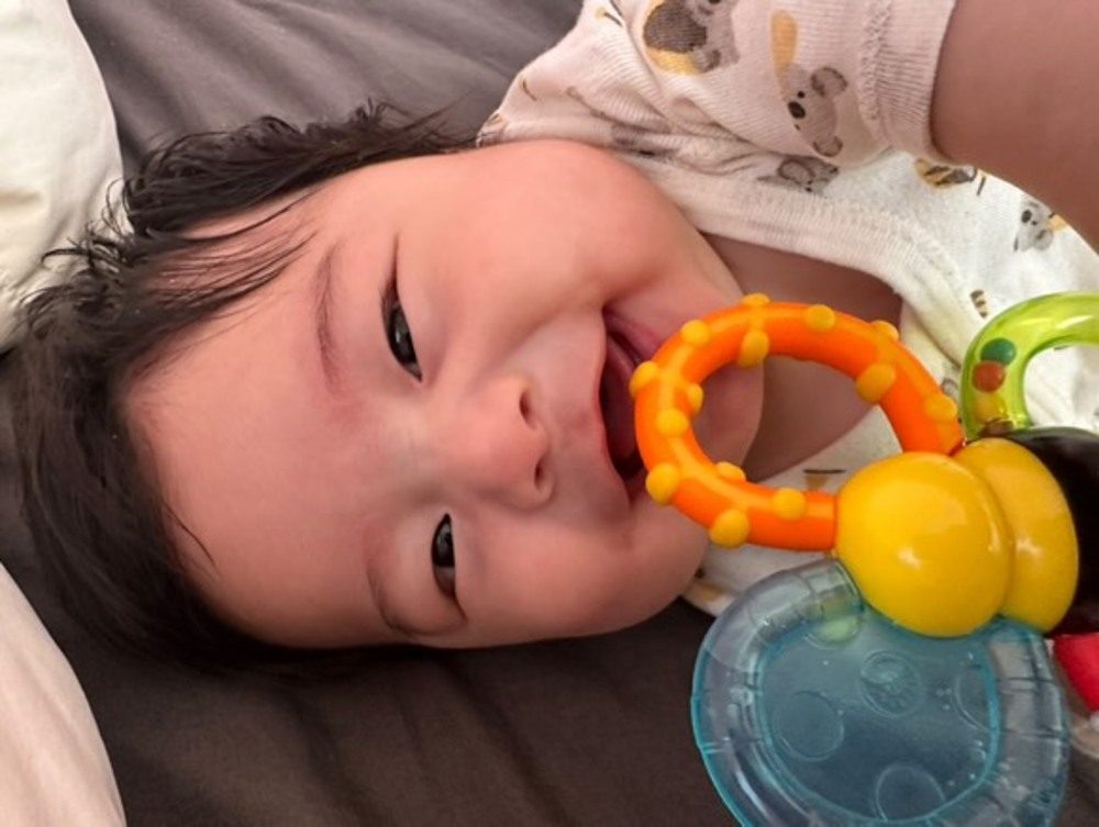 【実際の写真5枚】　２９年前の様子