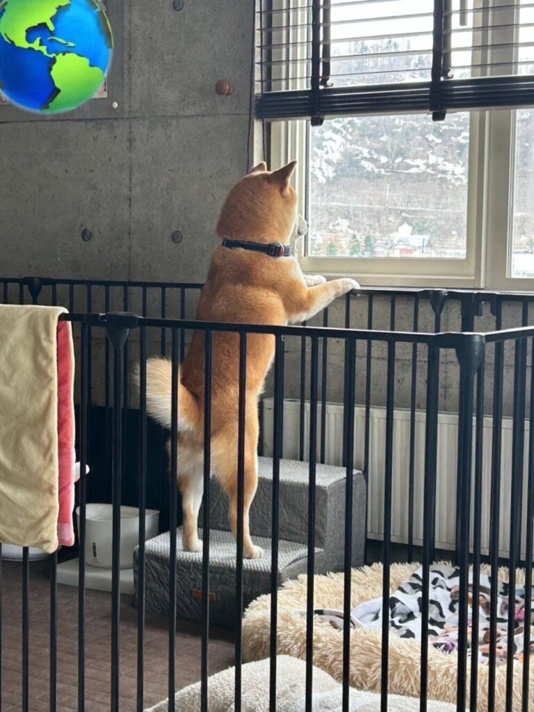 【実際の写真6枚】　2ヶ月後の様子