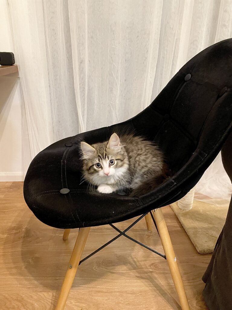 【実際の写真6枚】　３年後の様子