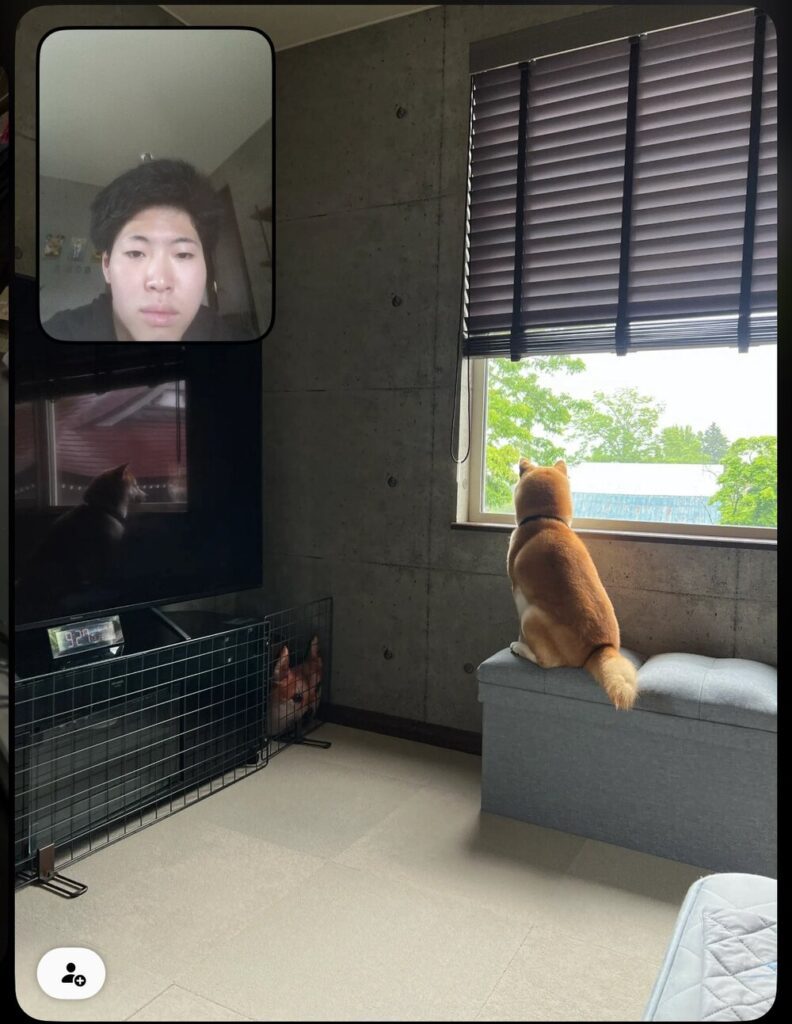 帰省しても外を見ている（@esuenuesukowaiさんより提供）