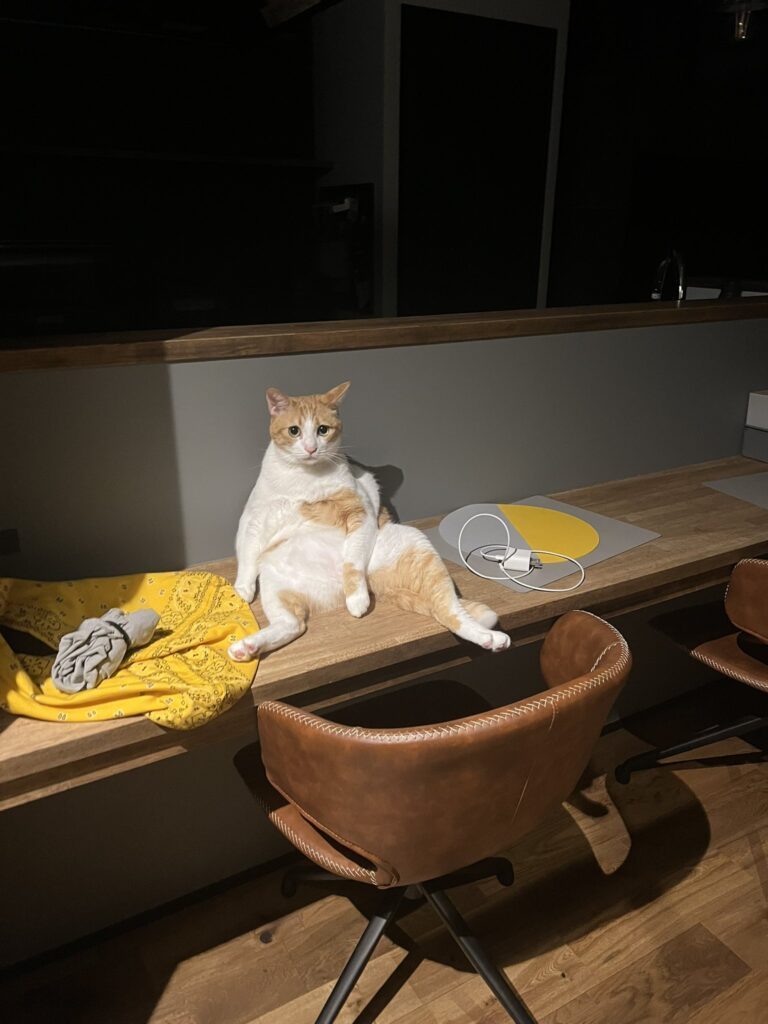 帰宅すると…（@kk26647297さんより提供）