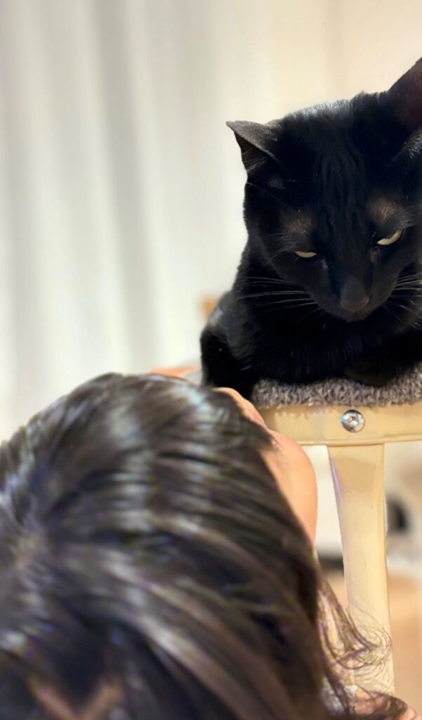 【実際の写真3枚】　ママが見た光景